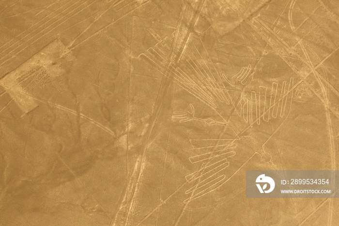 The condor is one of the largest animal geoglyphs on the ground in the Nazca desert, measuring approximately 134 metres in length.