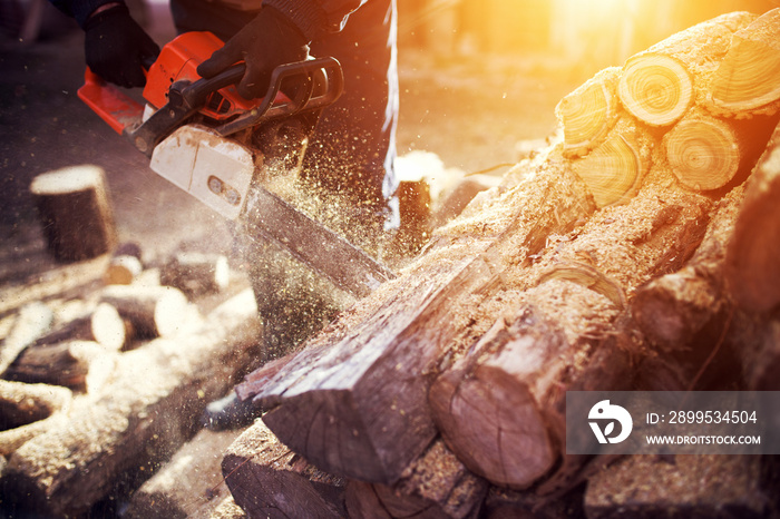 Cutting wood with chainsaw at backyard, lumberjack work profession.