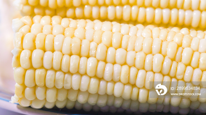 White corn. Boiled sweet white corn on the cob close up on white background