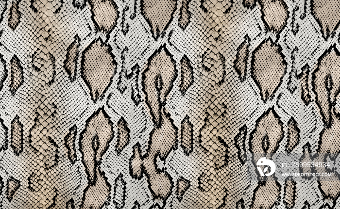 snake texture, python texture, animal print