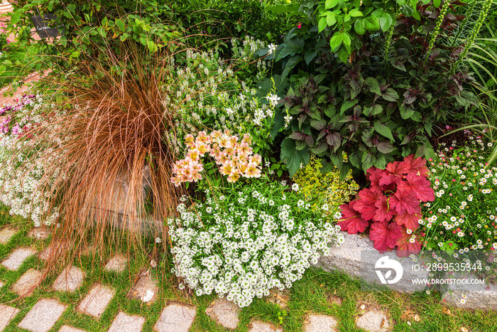 massif en fleur