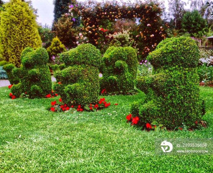 Topiary bears