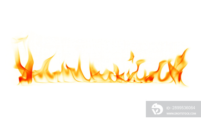 Fire on a white background