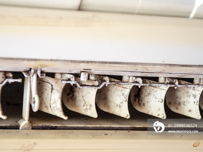 close up mold in air conditioner system. Danger and the cause of pneumonia and respiratory diseases in house or office. air condition must clean evern month for health.