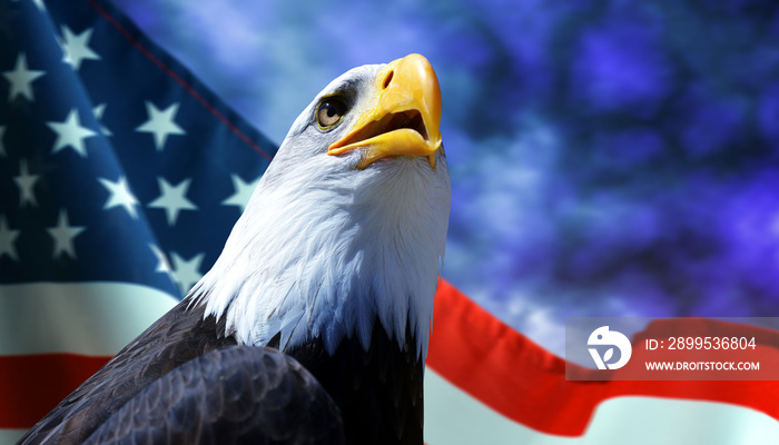 Bald Eagle and American flag with dark storm clouds at the background.