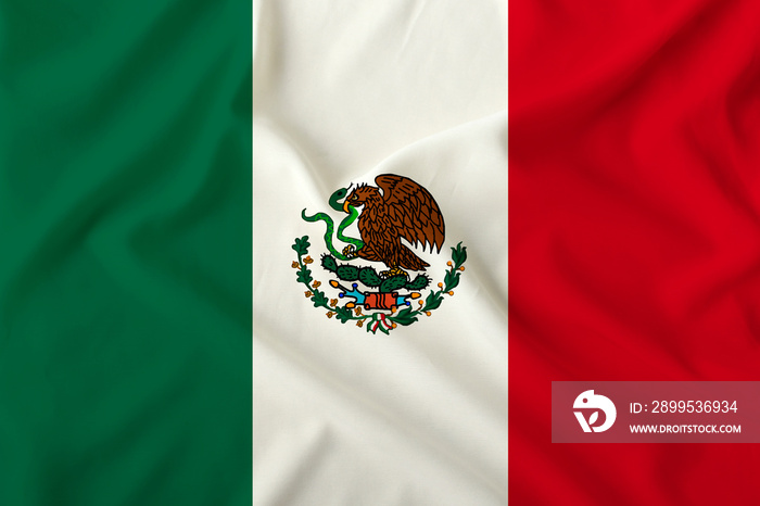 beautiful flag of mexico on delicate silk with soft folds in the wind