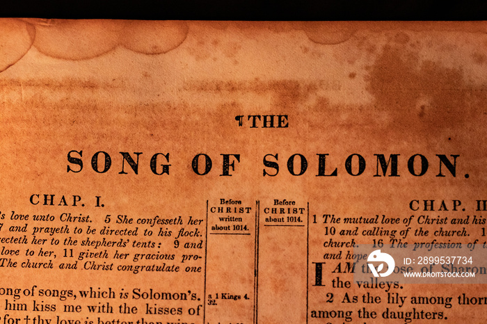 Song of Solomon