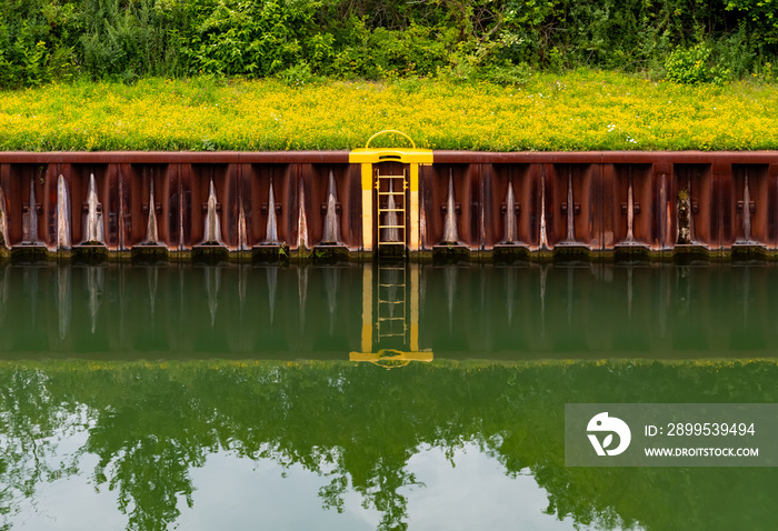 Kanal Spuntwand Hafen Befestigung Binnenschifffahrt Leiter Ausstieg Ufer Ankerplatz Rhein-Herne-Kanal Ruhrgebiet Deutschland Infrastruktur Wasseroberfläche Spiegelung Symmetrie gelb Blumen Vegetation