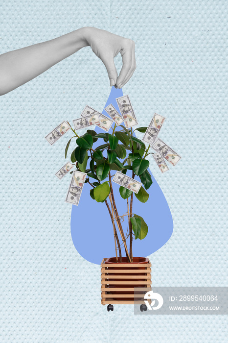 Vertical collage image of black white gamma human arm put water drop money tree plant dollar banknotes leaf isolated on creative background