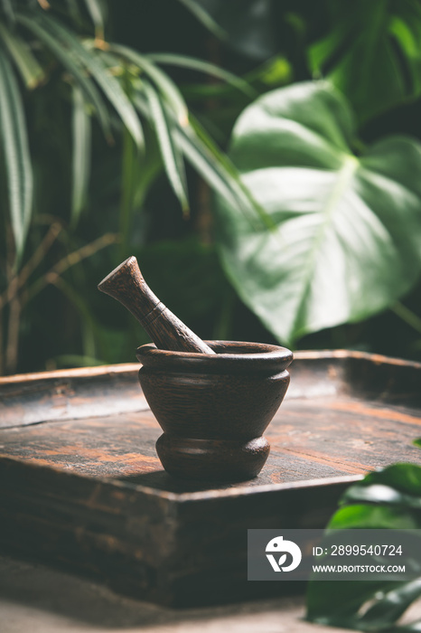 Mortar and pestle on tropical background, close up