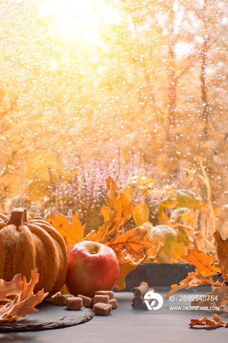 Autumn background with pumpkins and dry leaves on a window board on a rainy day