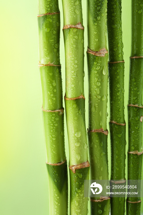 green bamboo background with water drops