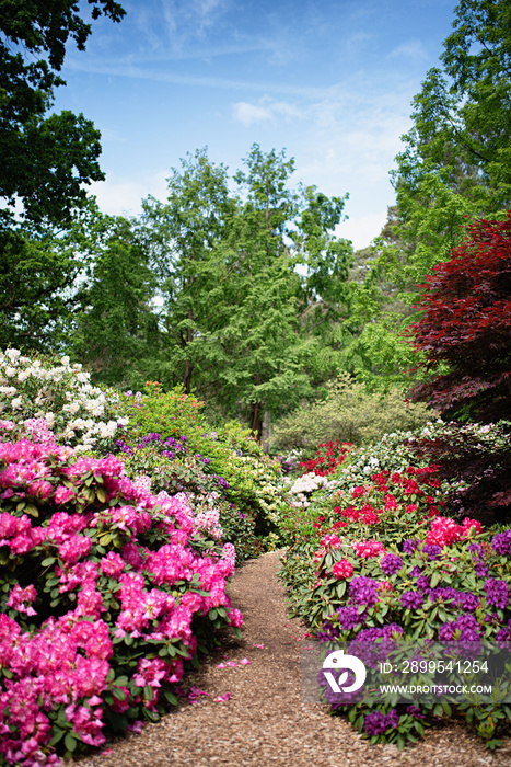 Parklandschaft Ammerland