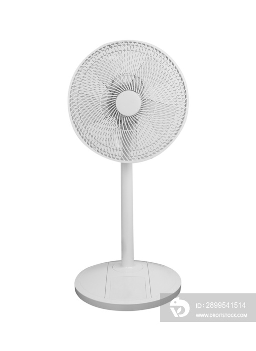 White electric fan