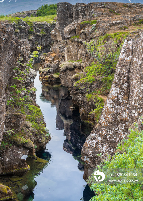 Mid Atlantic Ridge, Thingvellir, Iceland