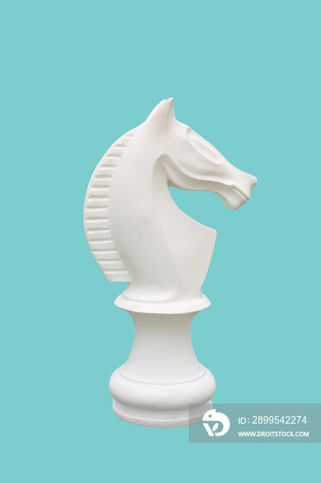 White horse chess isolated on cyan background - clipping path