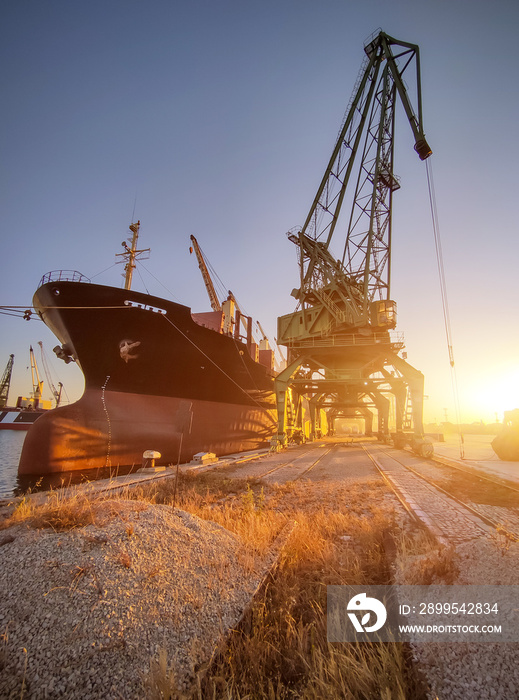 cargo ship bulk carrier is loaded with grain of wheat in port at sunset