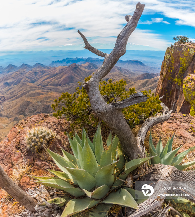 Southwest Rim And The Chisos Mountains Across The Chihuahuan Desert, Big Bend National Park, Texas, USA