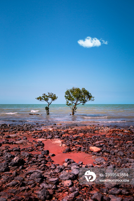 Red rocks on red sand with trees in turquoise water in Broome, Western Australia