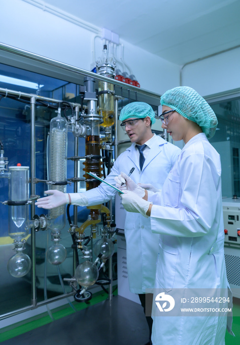 Scientists and assistants are in the machine room extracting oil and cannabis seeds. Inspecting cannabis oil extractor before starting to extract the prepared cannabis