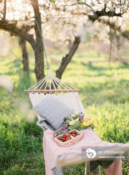 Spring Picnic in the Nature in a Blooming Garden. A Hammock with Strawberries and Flowers. Summer Mood