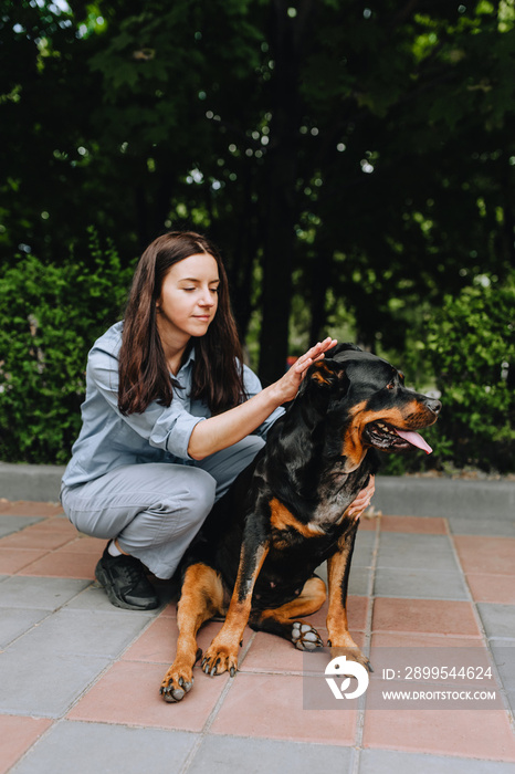 A beautiful female veterinarian in uniform sits next to a disabled Rottweiler dog in a special corset and helps to recover after surgery. Photo of an animal.