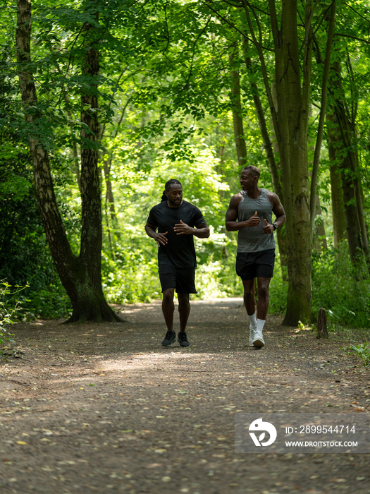 Two men jogging in forest in summer