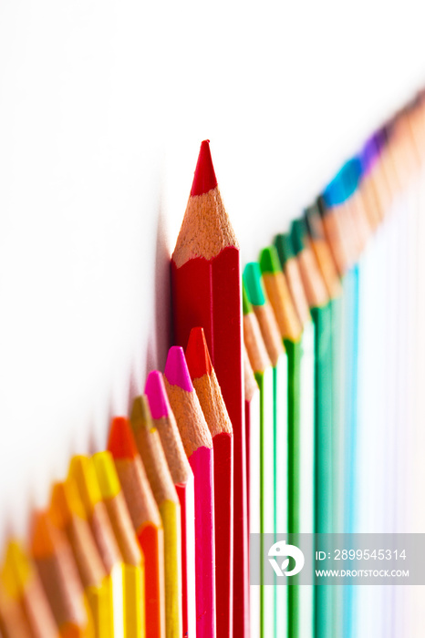 leadership concept with one pencil standing out of crowd of othe