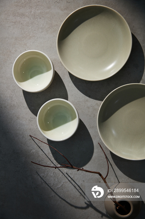Still life of empty pastel grey-colored ceramic dishes with a vase of branches tree. Top View