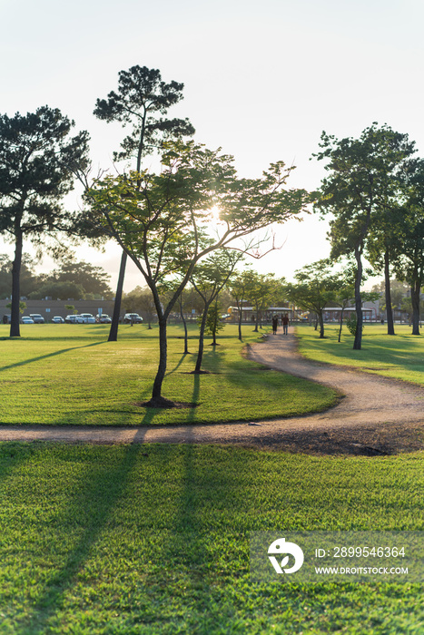 Beautiful view of urban park in Texas, America. Green grass lawn, huge pine trees and walking/running trail with silhouette of people jogging, exercising outdoor at sunset. Parking lot in the distance