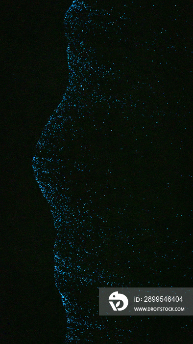 Abstract of blue bioluminescence sparkles on a black beach in the shape of the profile of a human face