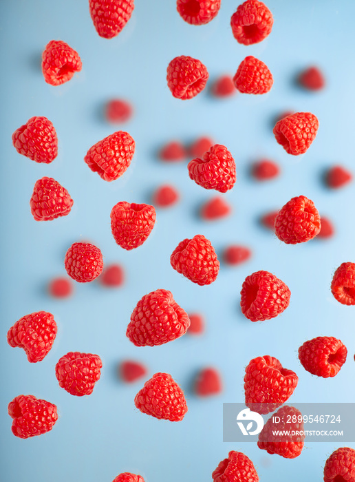 Flying raspberry on the blue background, top view