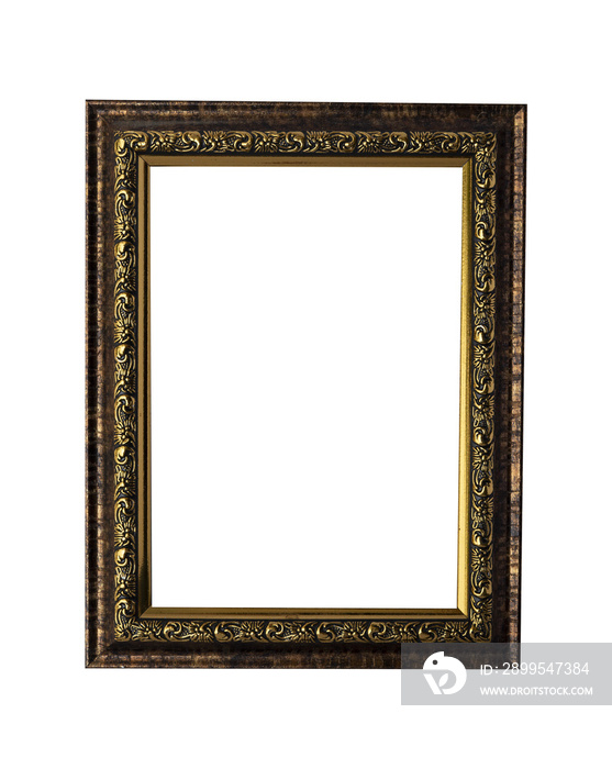 Blank portrait frame with ornament isolated