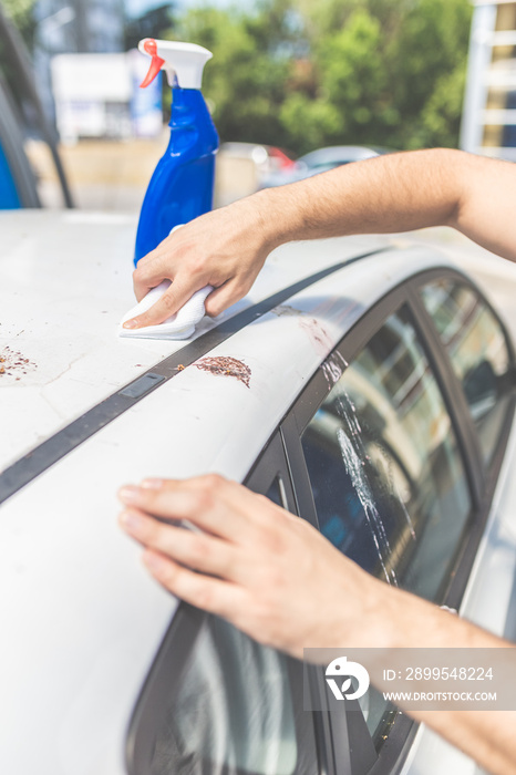 Man hands cleaning and spaying car exterior. Shit bird dropping on car roof.