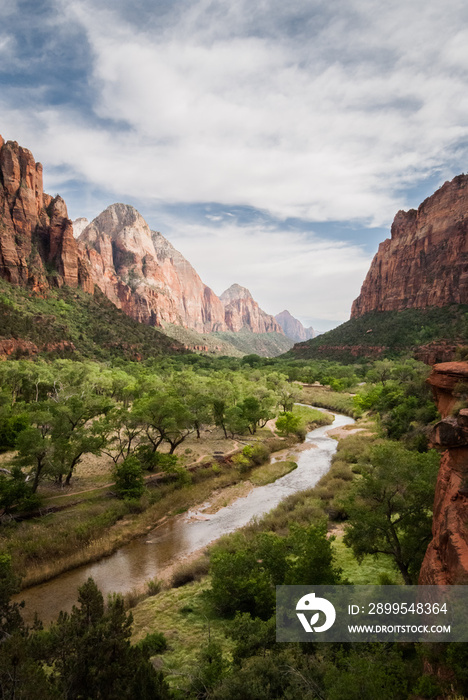 Zion garden