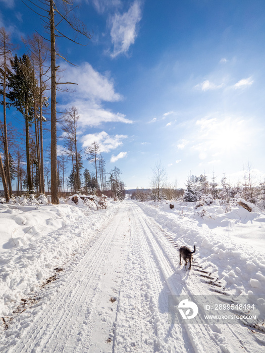 Winterlandschaft