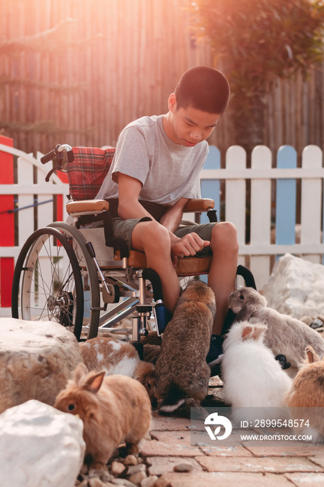 Disabled child sitting on wheel​chair​ feeding rabbits in zoo,Boy smile with happy face look at the cute animals,Lifestyle in education age of disabled children, Happy disability kid activity concept.