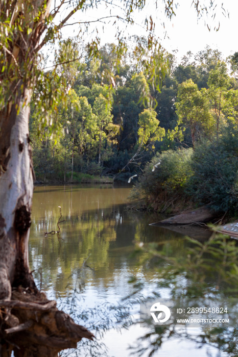 Goulburn River Shepparton, Victoria, Australia