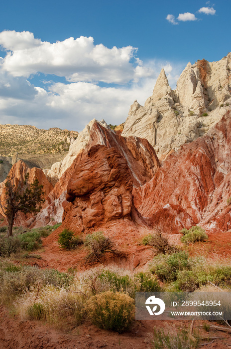 Unique geological rock formations along unpaved scenic Cottonwood Road traversing Grand Staircase-Escalante National Monument, Utah, USA