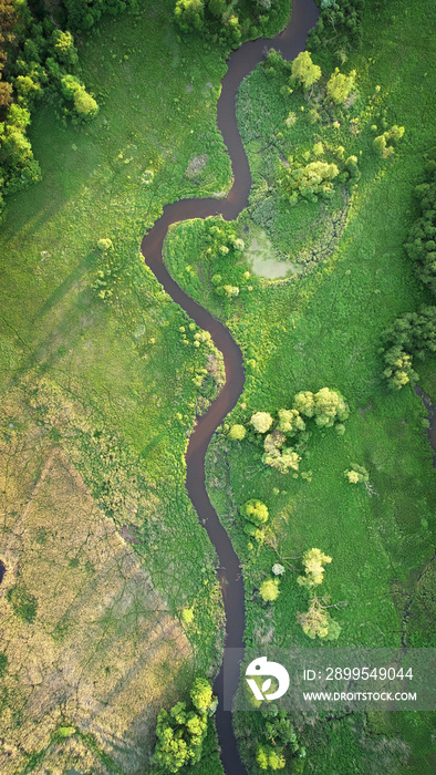 Aerial view of natural river in spring