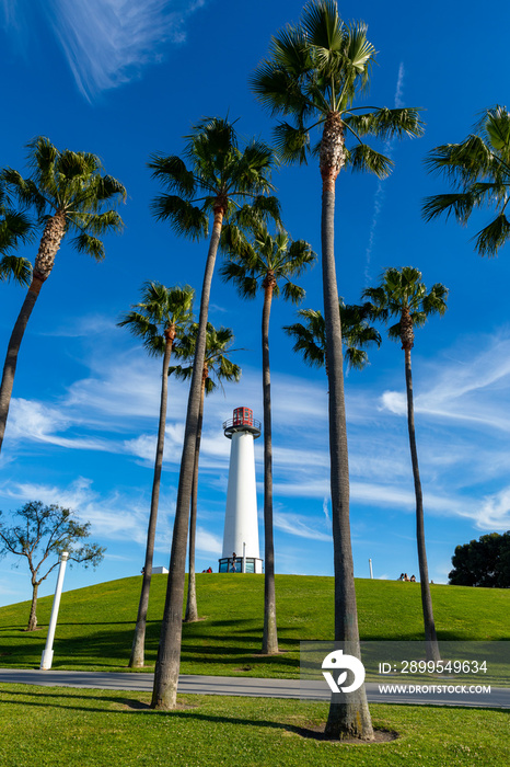 Lighthouse with palms at Long Beach, California, USA