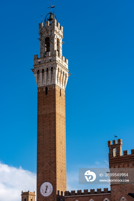 Torre del Mangia - Siena Tuscany Italy