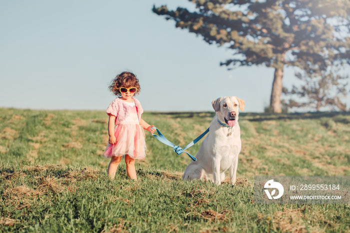 Portrait of cute stylish little Caucasian child girl in sunglasses walking dog in park field outside on summer sunny day at sunset. Kid playing with domestic animal pet. Happy childhood concept.