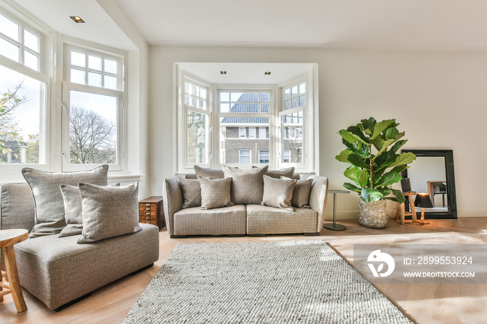 Spacious light living room with large windows and white walls furnished with cozy sofa and armchair placed around carpet in modern apartment