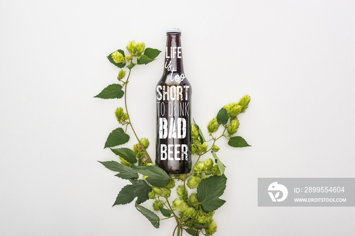 top view of beer in bottle with life is too short to drink bad beer lettering  near green blooming hop on white background