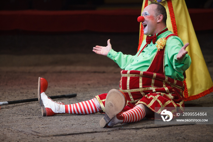 the clown’s performance at the circus