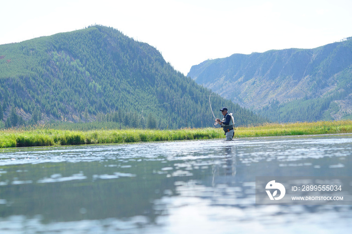 Fly-fisherman fishing in Madison river, Yellowstone Park