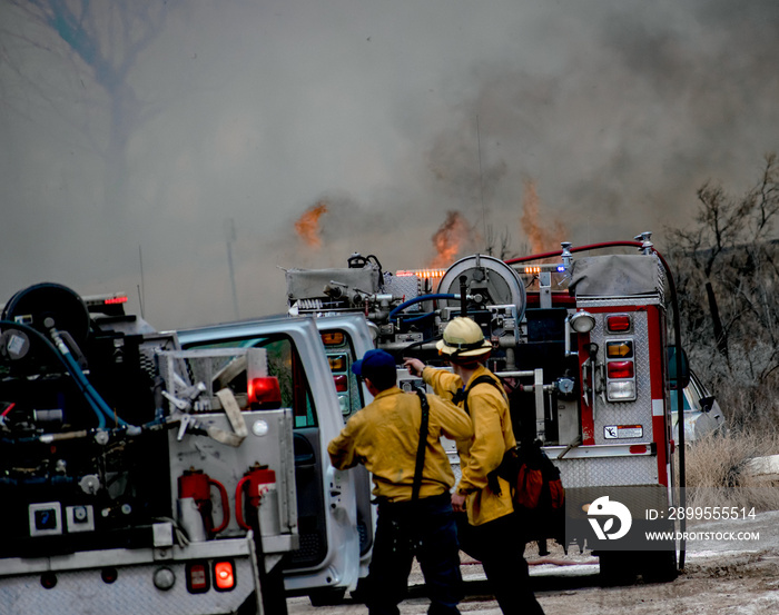 Firefighters at the Scene of a Wildfire