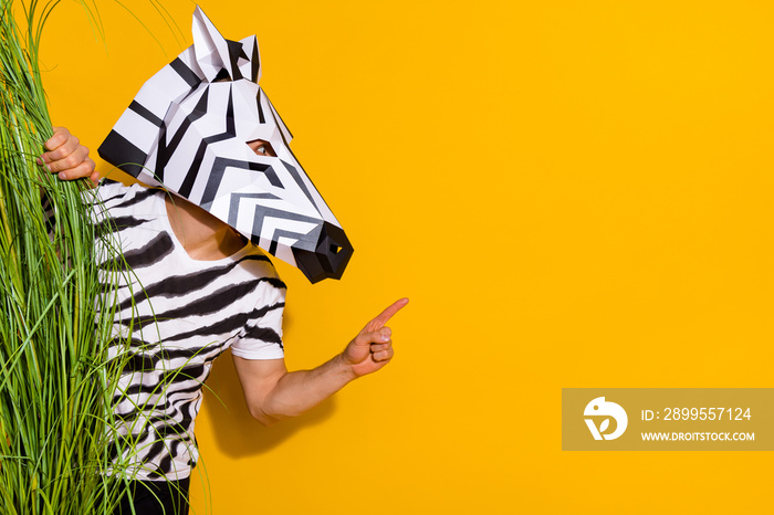 Photo of zebra guy sneaking from exotic rainforest point hand empty space isolated over shine yellow color background