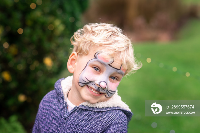 Cute little boy with his face painted